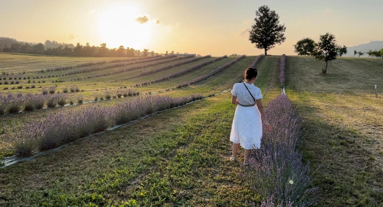 Willa La Baita Nei Boschi Serramazzoni Zewnętrze zdjęcie