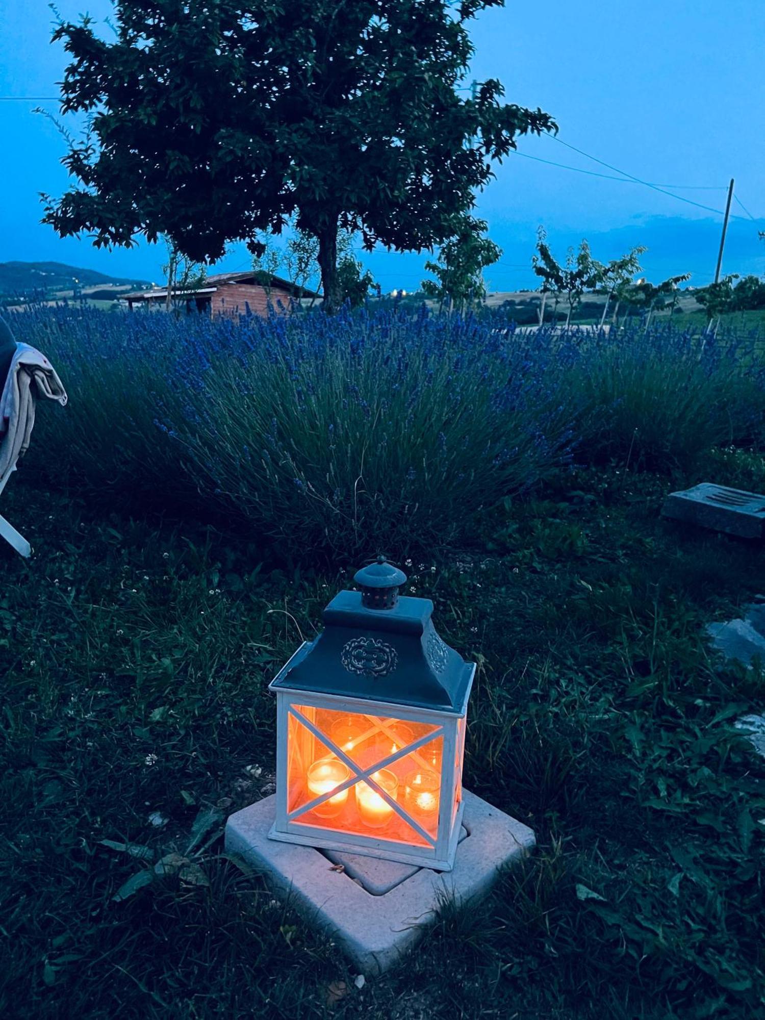 Willa La Baita Nei Boschi Serramazzoni Zewnętrze zdjęcie