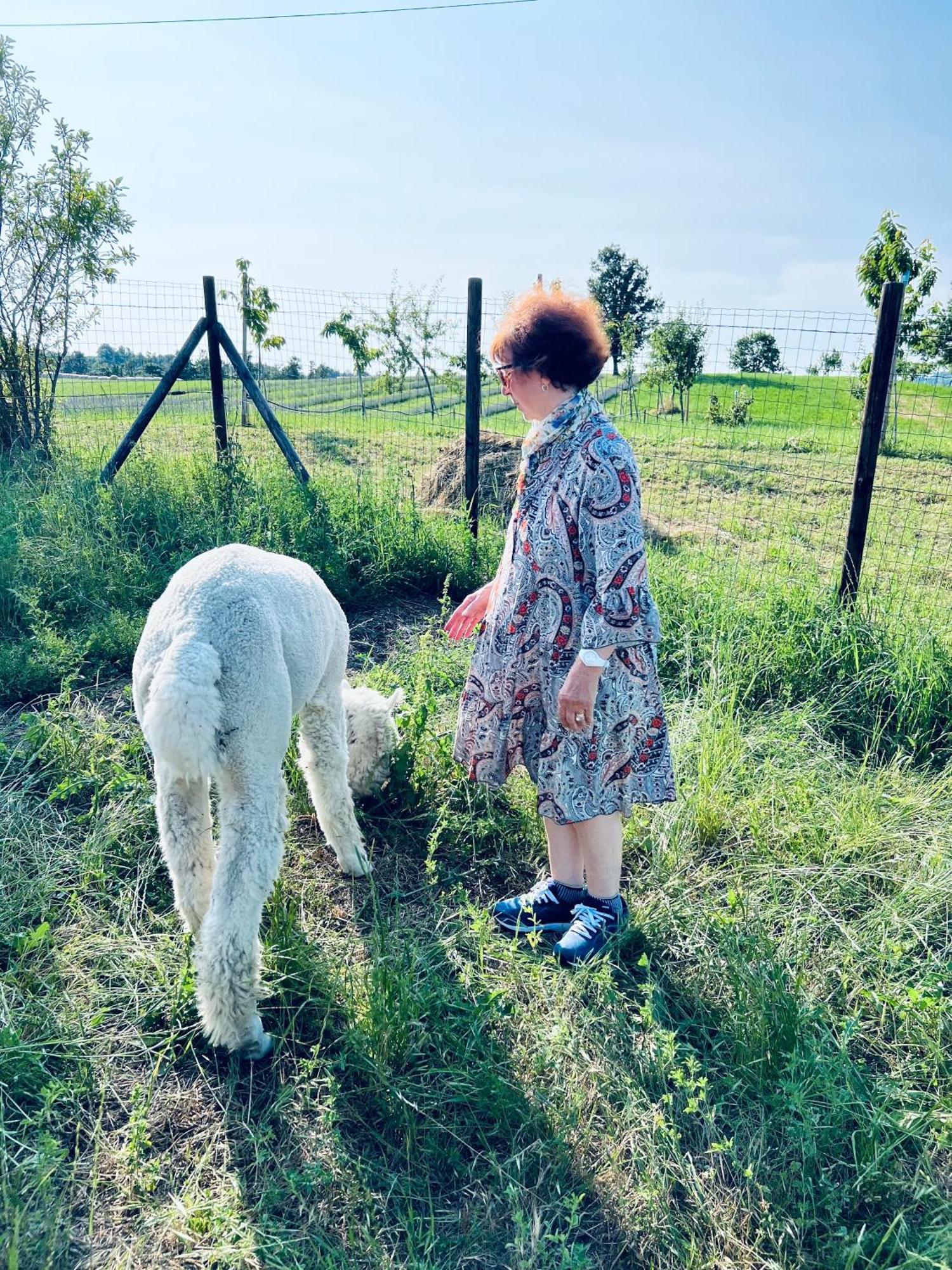 Willa La Baita Nei Boschi Serramazzoni Zewnętrze zdjęcie
