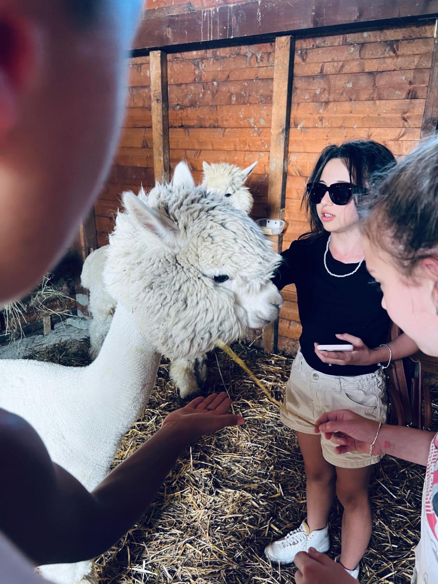 Willa La Baita Nei Boschi Serramazzoni Zewnętrze zdjęcie